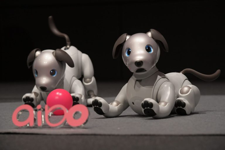 Sony Aibo