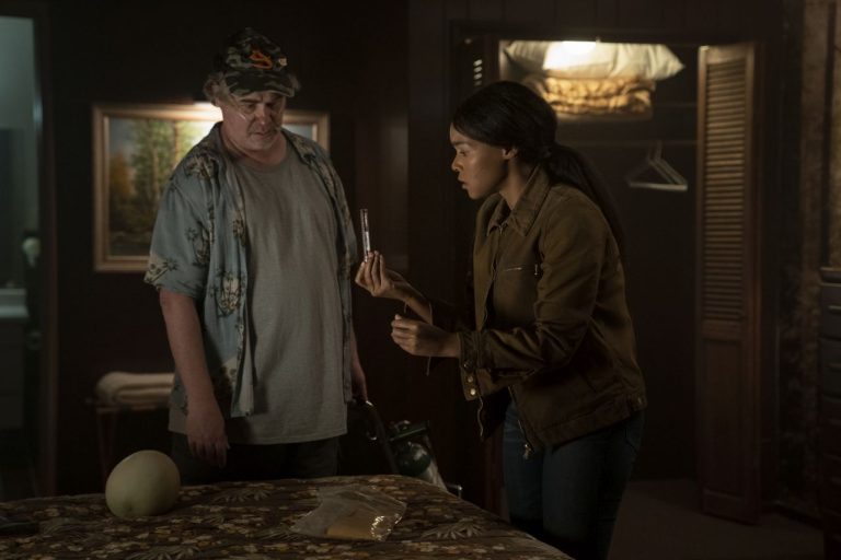 Homecoming Season 3: Creators Have Plans For The Third Season! Know What’s Next