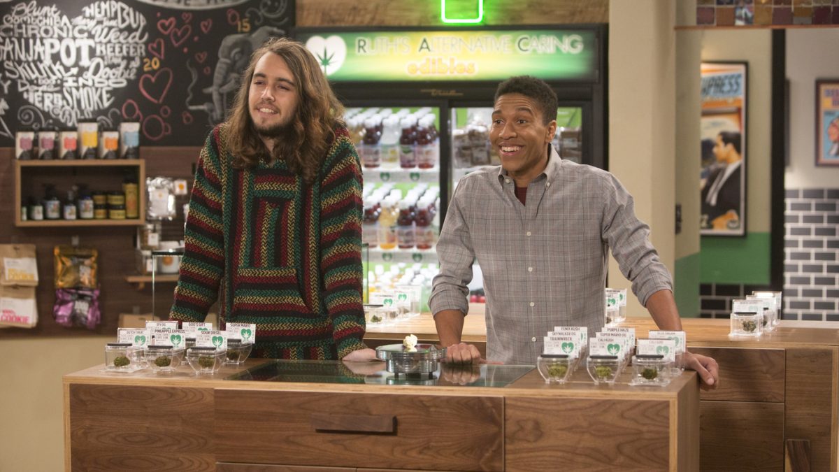 Disjointed Season 3 Is It Happening? When Will It Return?