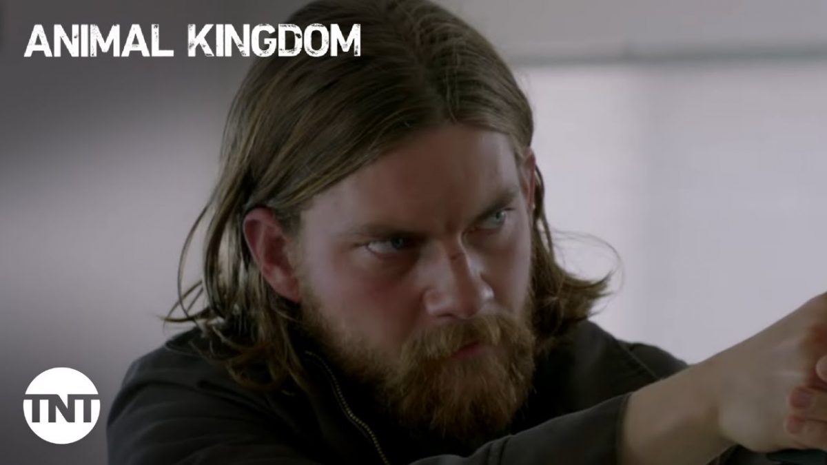 Animal Kingdom Season 6: Trailer Is Out! Someone Dies! Know The Release  Date - Tech Radar 247