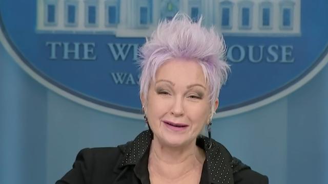 Cyndi Lauper Gay