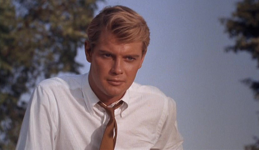 Troy Donahue Gay