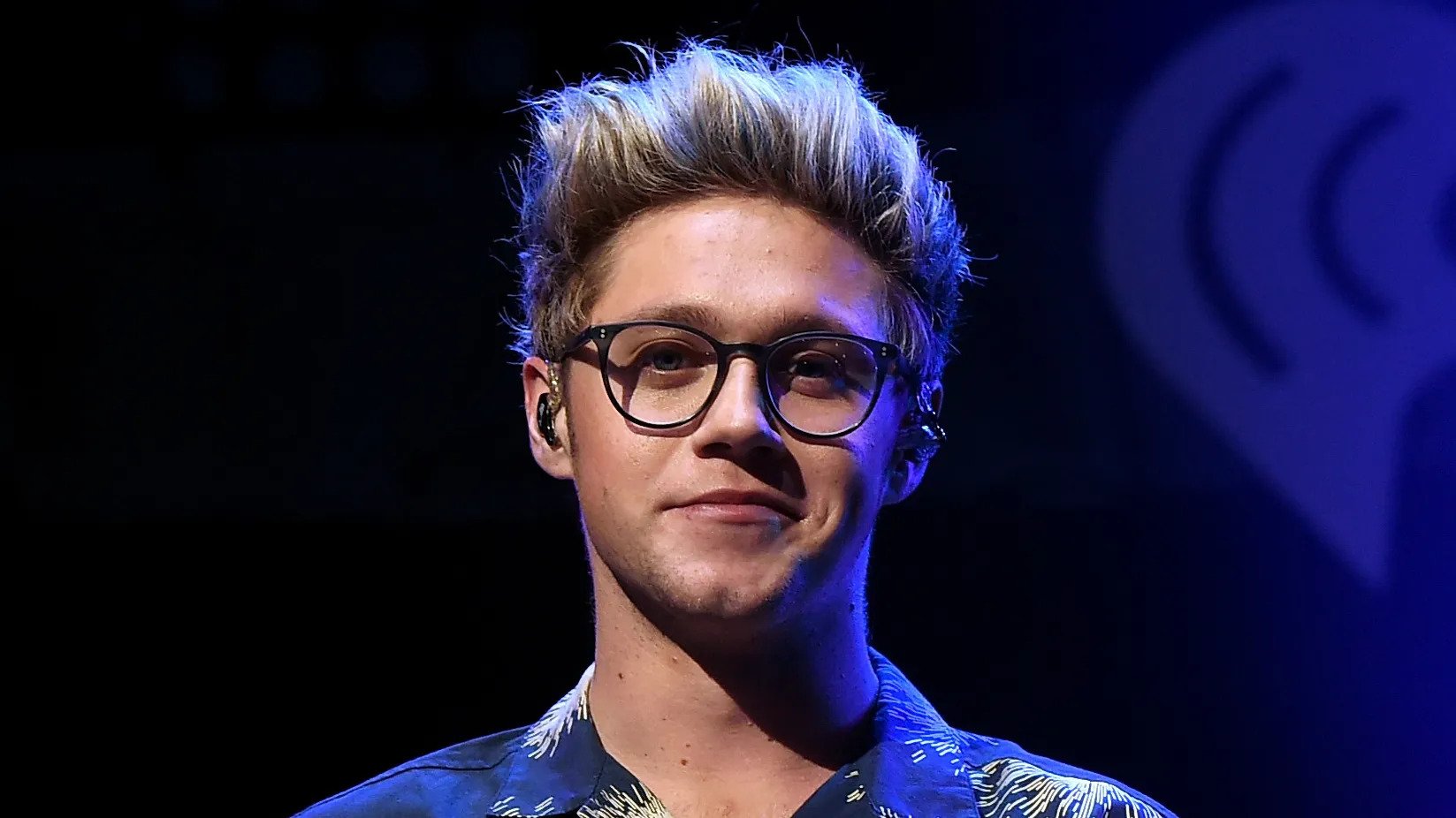 Niall Horan Gay