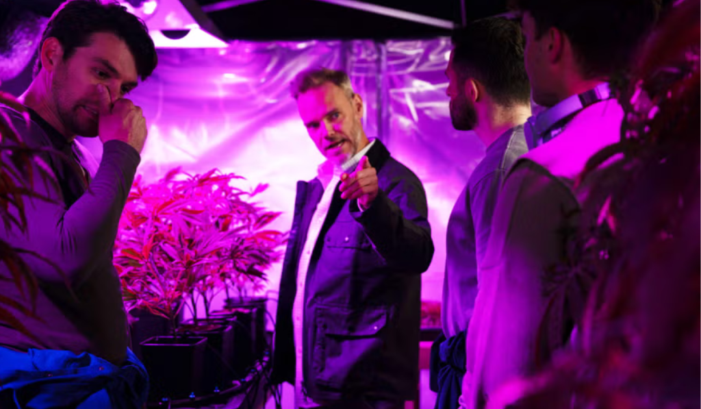 Emmerdale: Robert sold the weed to Ray
